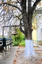 Orthodox monastery Saharna, Republic of Moldova. church bell