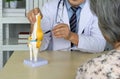 Orthopedic Surgeon in white gown and stethoscope pointing at anterior cruciate ligament on deluxe functional knee joint model, Royalty Free Stock Photo