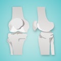 orthopedics knee collateral ligament injuries