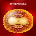 Orthopoxvirus or Monkeypox virus that cause smallpox, cowpox, horsepox, camelpox, and monkeypox