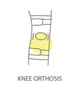 Orthosis knee icon in vector, linear illustration