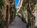 ortigia syracuse old buildings street view Sicily on sunny day