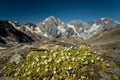 The Ortler Alps near Sulden on a sunny day in summer