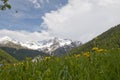 Ortles Group, Dolomites mountain