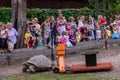 Ortoise near weighing machine, during 19th annual GalÃÂ¡pagos Tortoises weighing event at Riga Zoo