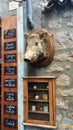 Shop of local traditional food produits. A wild boar head as a trophy