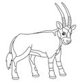 Oryx Coloring Page Isolated for Kids