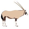 Oryx from side, drawn illustration Royalty Free Stock Photo