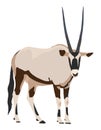 Oryx from side, looking towards, illustration Royalty Free Stock Photo