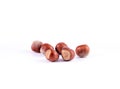 hazelnut on a white background Royalty Free Stock Photo
