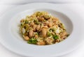 Orzo and Tuna salad with cannellini beans, olives and feta topped with a lemon and garlic vinaigrette Royalty Free Stock Photo