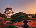 Osaka Castle Royalty Free Stock Photo