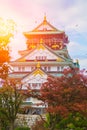 Osaka Castle in Autumn red maple blue sky sun light. Royalty Free Stock Photo
