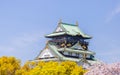 Osaka castle with blurred cherry blossom foregrounds. Japanese spring beautiful scene in Japan Royalty Free Stock Photo