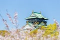 Osaka castle with blurred cherry blossom foregrounds. Japanese spring beautiful scene in Japan Royalty Free Stock Photo