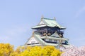 Osaka castle with cherry blossom foregrounds. Japanese spring seasons beautiful scene in Japan Royalty Free Stock Photo