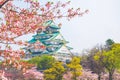 Osaka castle with cherry blossom. Japanese spring beautiful scene ,Osaka,Japan Royalty Free Stock Photo