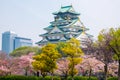 Osaka castle with cherry blossom. Japanese spring beautiful scene ,Osaka,Japan Royalty Free Stock Photo