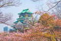 Osaka castle with cherry blossom. Japanese spring beautiful scene ,Osaka,Japan Royalty Free Stock Photo