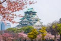 Osaka castle with cherry blossom. Japanese spring beautiful scene ,Osaka,Japan Royalty Free Stock Photo