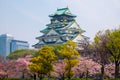 Osaka castle with cherry blossom. Japanese spring beautiful scene ,Osaka,Japan Royalty Free Stock Photo