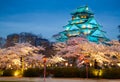 Osaka castle in cherry blossom season, Osaka, Japan Royalty Free Stock Photo