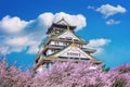 Osaka Castle and Cherry blossom in spring. Sakura seasons in Osaka, Japan