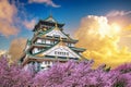 Osaka Castle and Cherry blossom at sunset in spring. Sakura seasons in Osaka, Japan Royalty Free Stock Photo