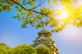 Osaka Castle cherry blossoms Royalty Free Stock Photo