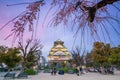 Osaka Castle with full bloom of Sakura