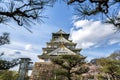 Osaka castle in Japan with branch of tree in front Royalty Free Stock Photo