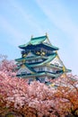 Osaka Castle, Japan Royalty Free Stock Photo