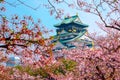Osaka Castle, Japan Royalty Free Stock Photo