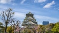 Osaka castle in Japan with cherry blossom tree in front Royalty Free Stock Photo