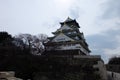 Osaka Castle , Japan, Osaka