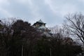 Osaka Castle , Japan, Osaka