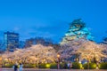 Osaka Castle Japan Royalty Free Stock Photo