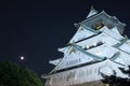 osaka castle