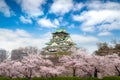 Osaka Castle with Japanese cherry blossom garden and tourist sightseeing at Osaka, Japan. Japan tourism, history building, or Royalty Free Stock Photo