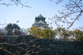 Osaka castle in Matsumoto, Japan