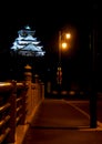 Osaka castle at night, Osaka, Japan 2 Royalty Free Stock Photo