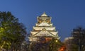 Osaka castle Royalty Free Stock Photo