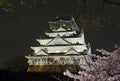 Osaka Castle Night View Royalty Free Stock Photo