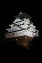 Osaka Castle (nightshot) in Osaka, Japan Royalty Free Stock Photo