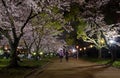 Osaka Castle Ninomaru Park Royalty Free Stock Photo