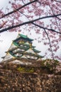 Osaka Castle Sakura Royalty Free Stock Photo