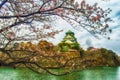 Osaka Castle Sakura Royalty Free Stock Photo