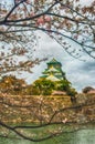 Osaka Castle Sakura Royalty Free Stock Photo