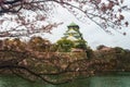 Osaka Castle Sakura Royalty Free Stock Photo