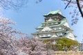 Osaka castle Royalty Free Stock Photo